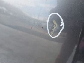 HONDA Motorháztető