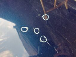 
										VW Csomagtérajtó (Részeivel) full									