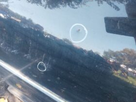 VW Jobb hátsó Ajtó (Részeivel)