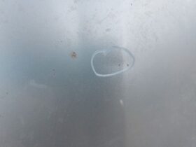 VW Motorháztető