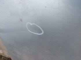 VW Motorháztető
