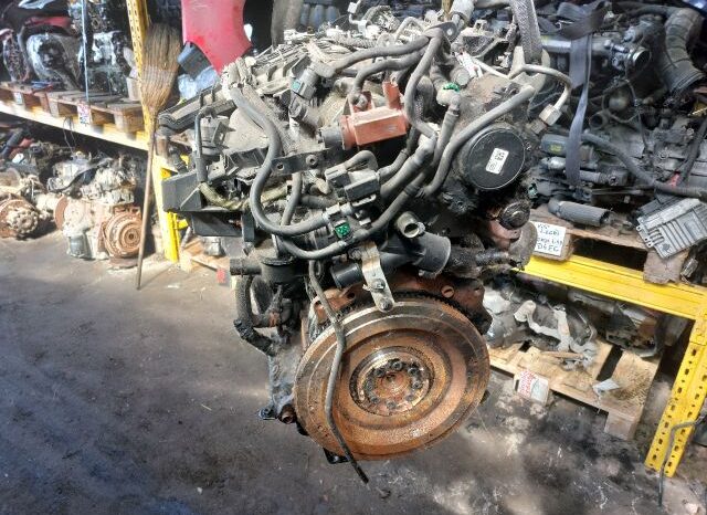 
								FORD Motor (Fűzött blokk hengerfejjel) full									