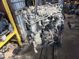 
										FORD Motor (Fűzött blokk hengerfejjel) full									