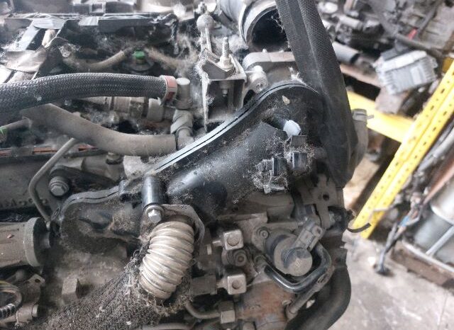 
								FORD Komplett Motor (Segédberendezésekkel) full									